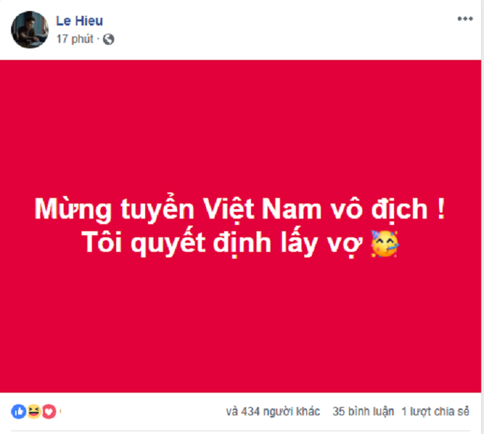 sao viet mung viet nam vo dich (1) 8