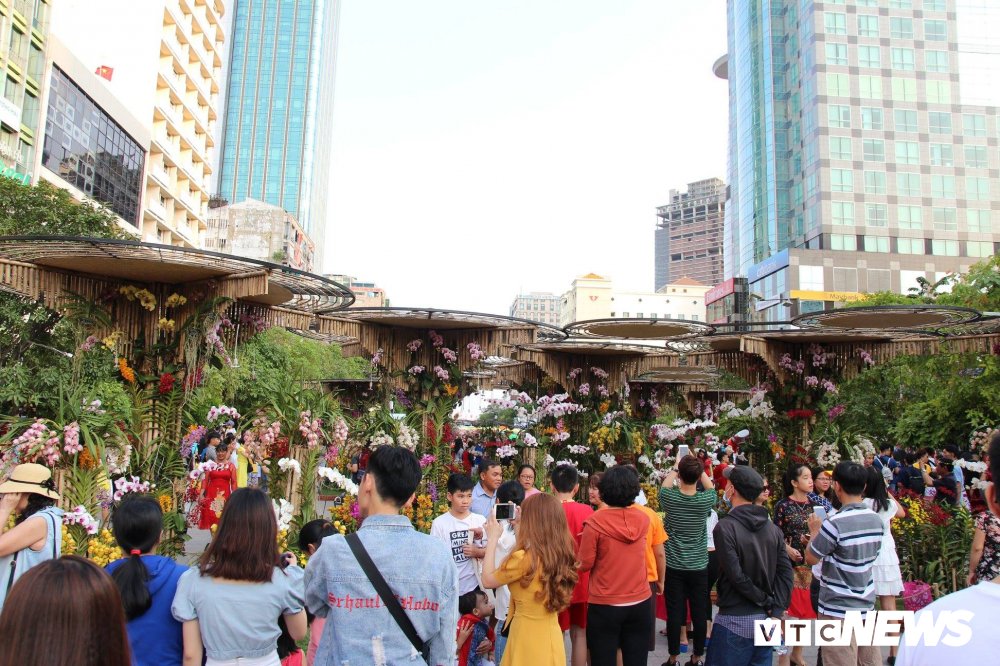 duong hoa nguyen hue 30 tet (14) 13