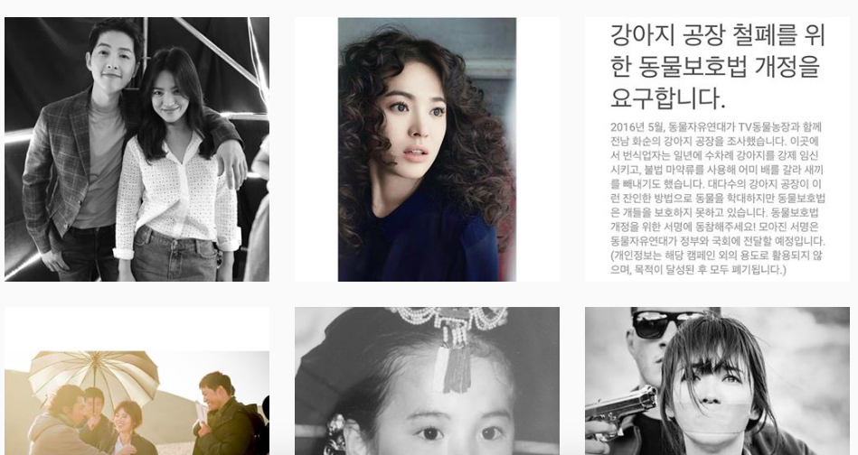 song hye kyo li di song joong ki (2) 9