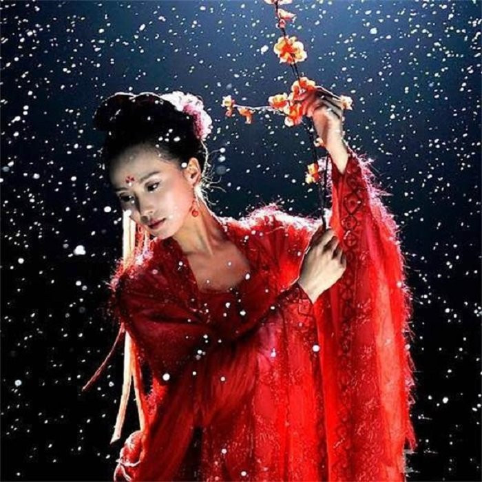 my nhan hoa ngu dien ao do (2)