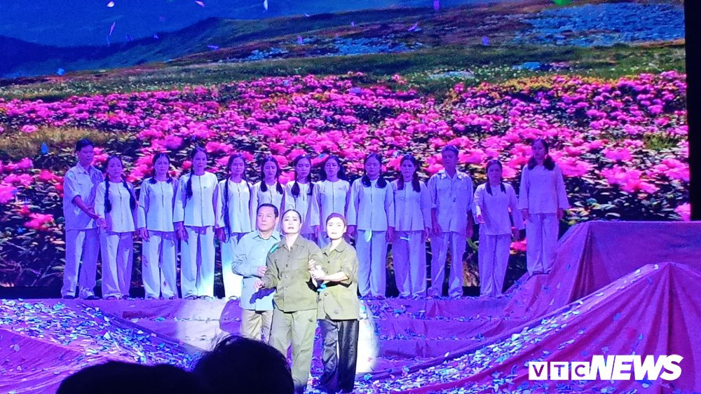 hoaluatruongbon (3) 3