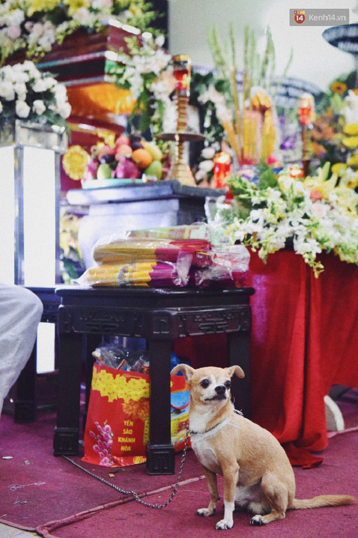 nghesilebinhquadoi (3) 10