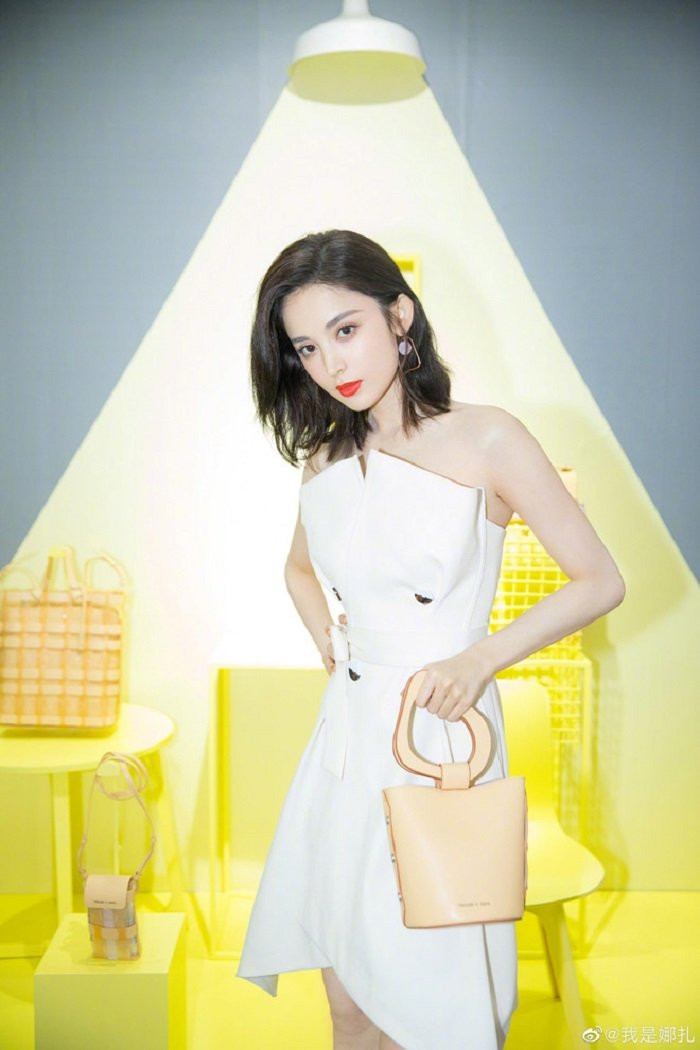 colucnatratcannes (8) 8