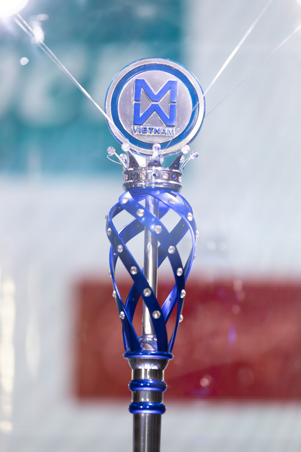 hoahauthegioivietnam (9) 9