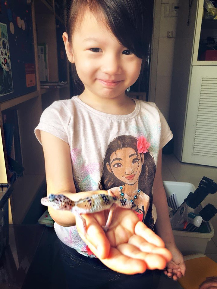 saovietduacondituutruong (8) 9