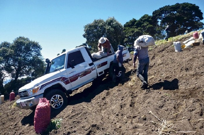 toyotalandcruiser (3)