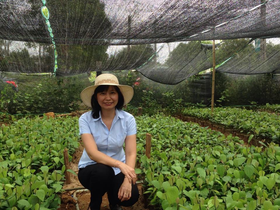 13695078_1389851801031248_963865768_n