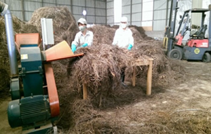 tinhdausa1-3509-1495102286