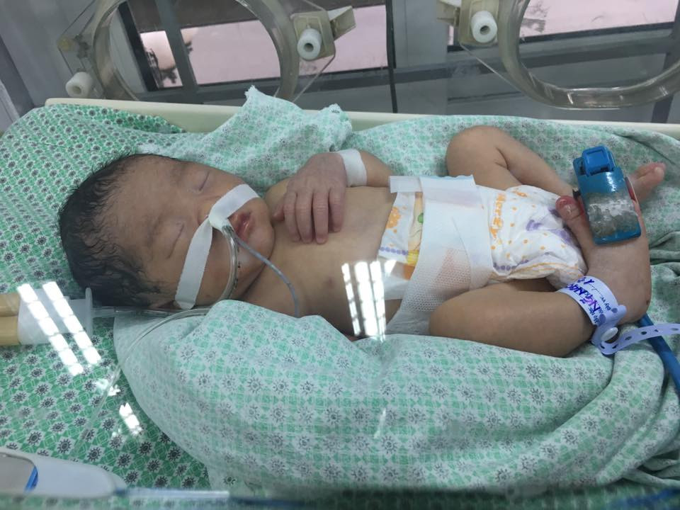 26167920_1932106453776017_1747048545806548150_n