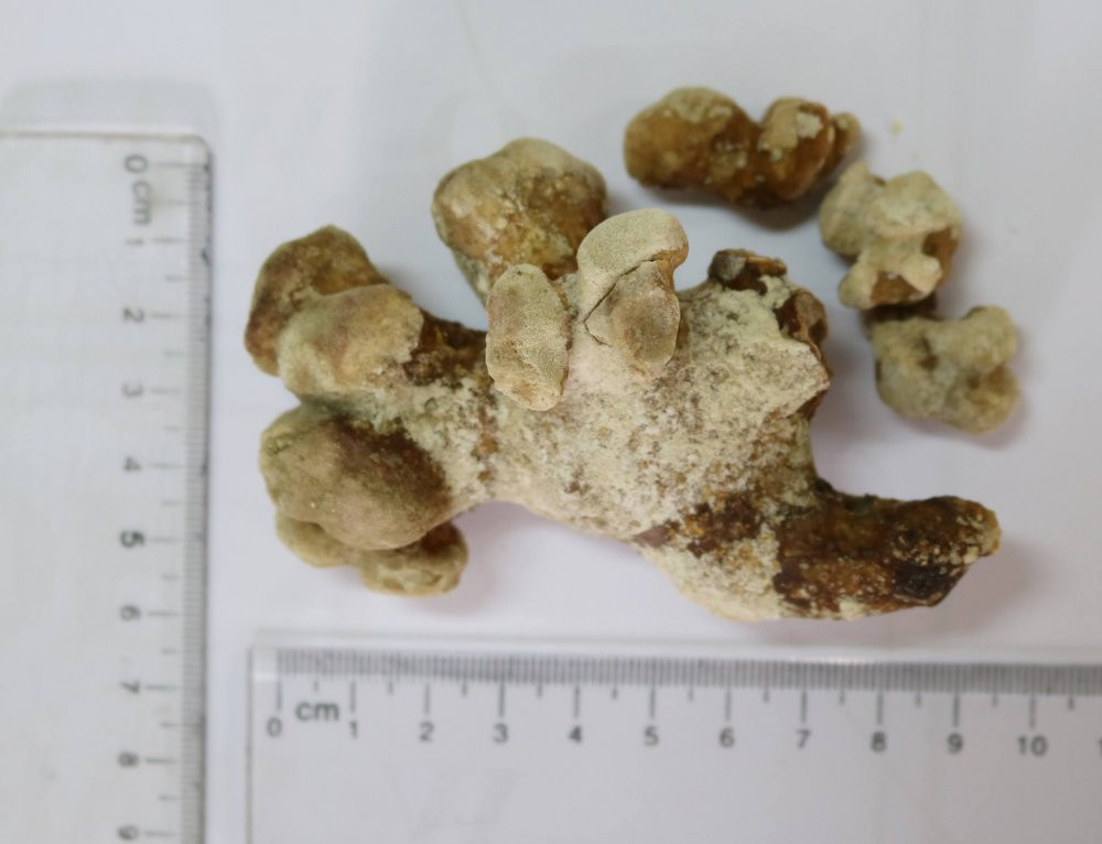 30739398_2059327257682568_8918275792283107328_o