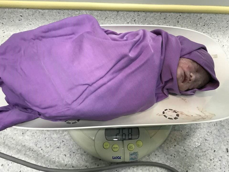 31369800_1858441167533911_4365616295383662592_n 3