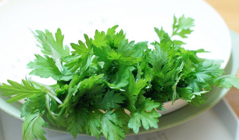 cach-lam-lotion-rau-ngai-cuu-bi-quyet-lam-dep-tu-nhat-ban3-830x488 7