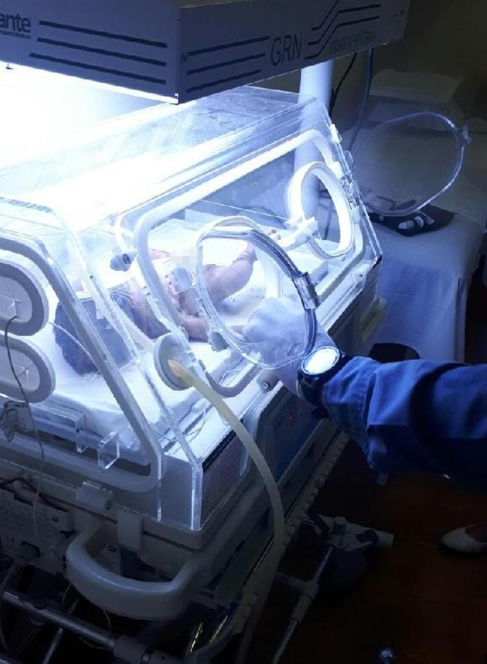 NINTCHDBPICT000411676348