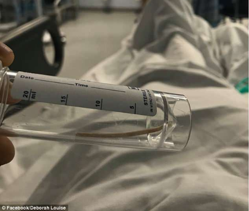 screenshot-i.dailymail.co.uk-2018-06-11-06-56-52