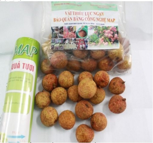 baoquanvaicongnghemap