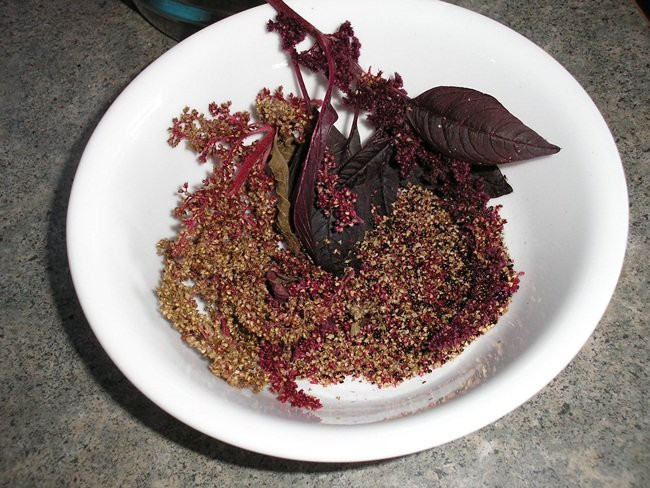 20170815172254-ung-thu1