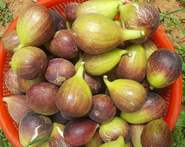 20170818161631-sung-my-1