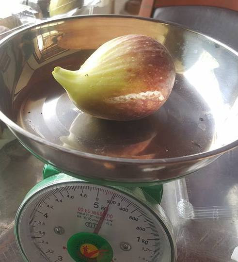 20170818161631-sung-my-2