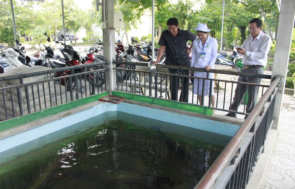 nước thải y tế, rác thải bệnh viện