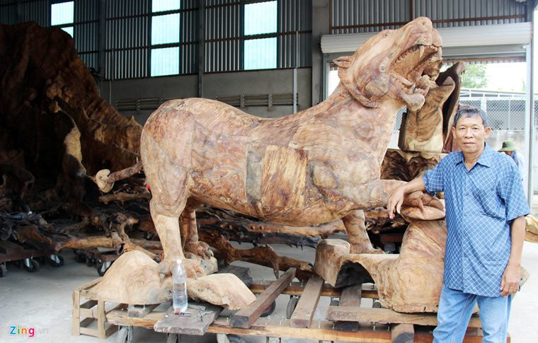 cây cổ thụ, gốc cây tiền tỷ