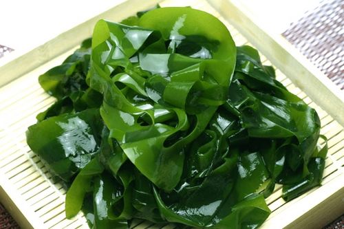 Ung thư vú,Nguyên nhân gây bệnh ung thư,Triệu chứng bệnh ung thư,Điều trị bệnh ung thư