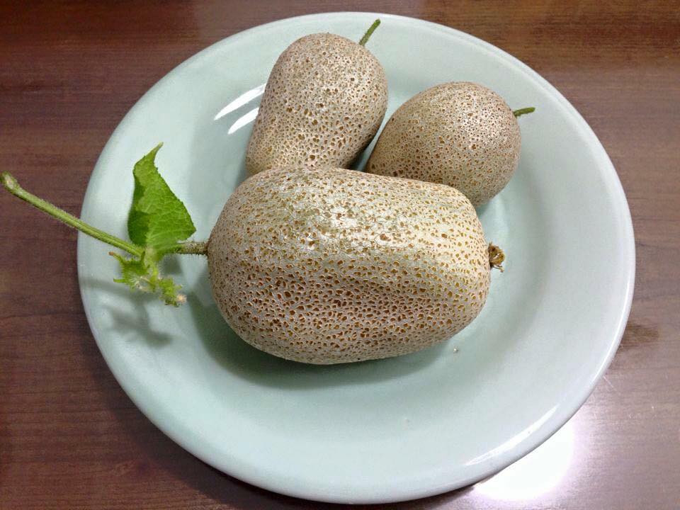 trồng rau sạch, trồng rau trên sân thượng, hoa quả độc lạ