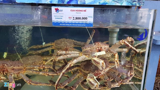 Hai san nhap ngoai tien trieu van dat hang, Bo Nong nghiep noi gi? hinh anh 2