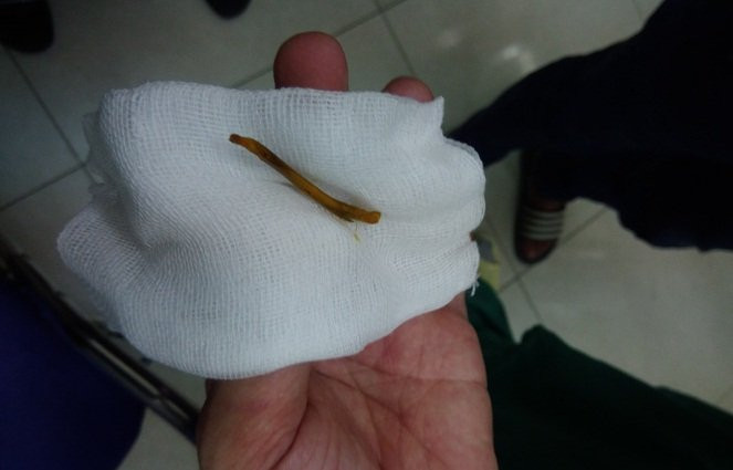 p-20170830-191709-1-1505187648188