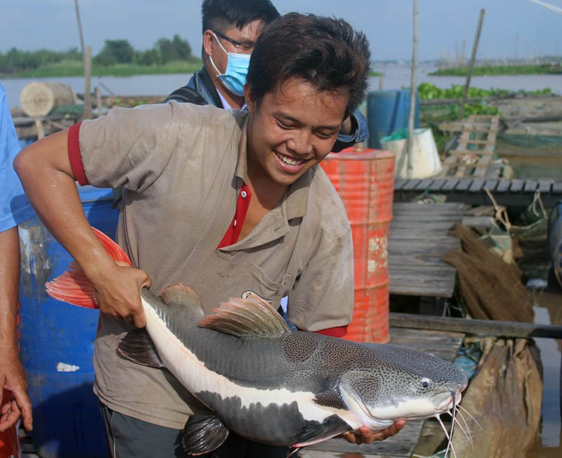 Cá lạ, Thuỷ quái, Cá quý hiếm
