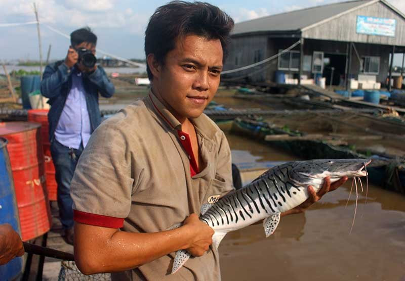 Cá lạ, Thuỷ quái, Cá quý hiếm