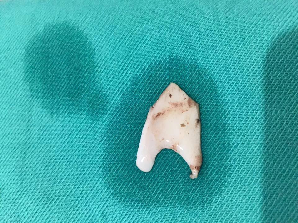 21751848_10155117698678789_9012157529108446291_n