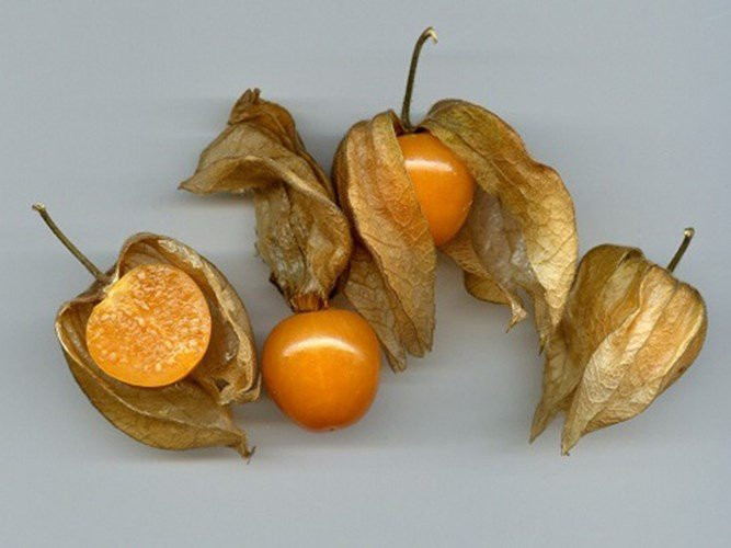 cong-dung-cua-qua-dai-tam-bop-ban-tai-nhat-voi-gia-700000dkg-hinh-5