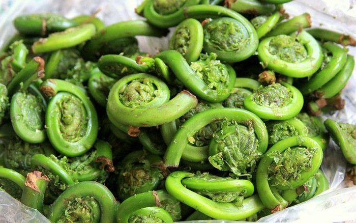 img-1491881373901-23-0-480-736-crop-1491881399662 4