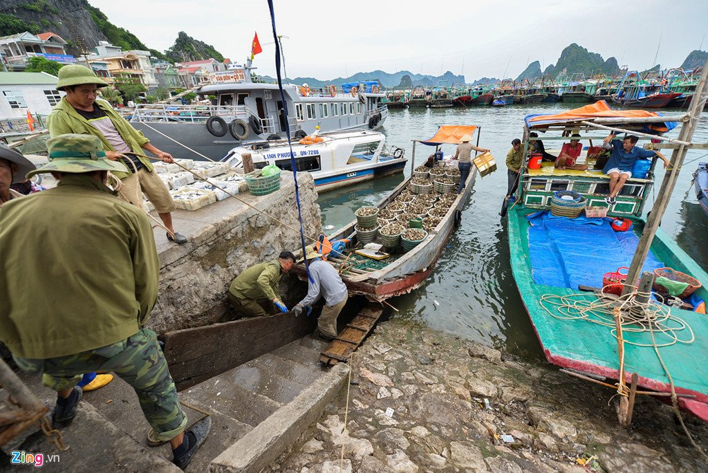 Cang Cai Rong truoc ngay Van Don thanh dac khu kinh te hinh anh 7