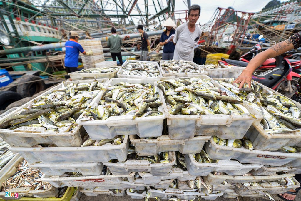 Cang Cai Rong truoc ngay Van Don thanh dac khu kinh te hinh anh 6