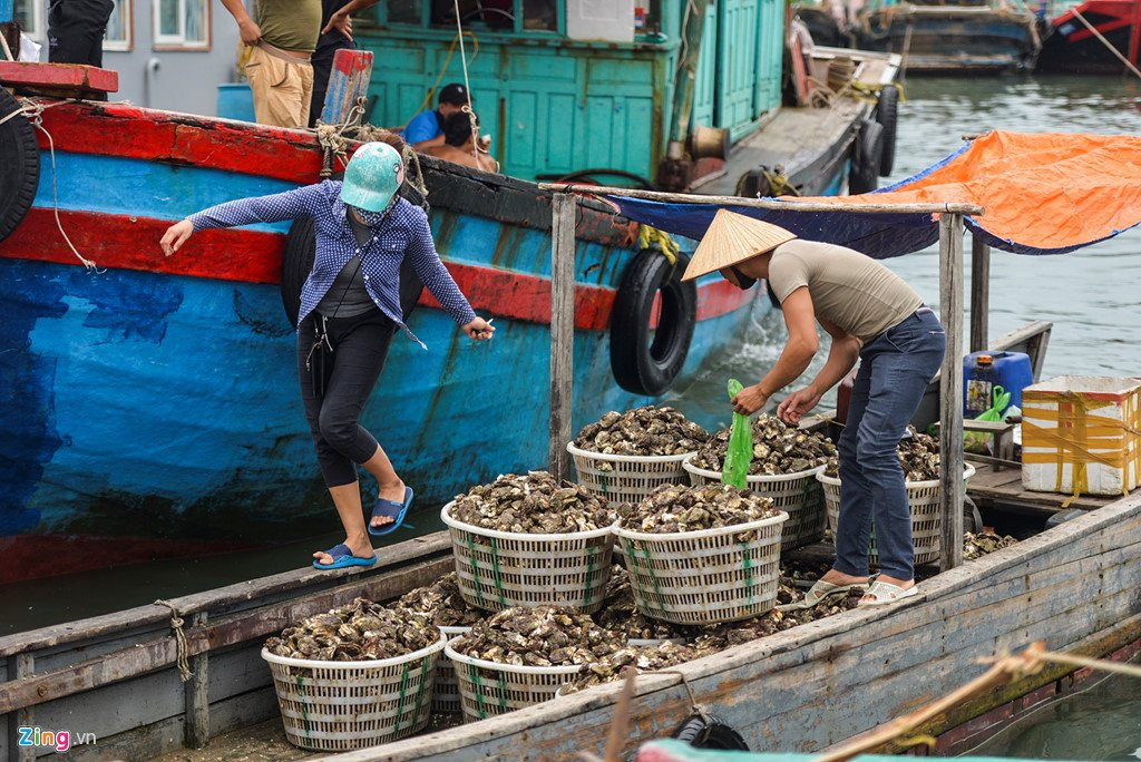 Cang Cai Rong truoc ngay Van Don thanh dac khu kinh te hinh anh 8