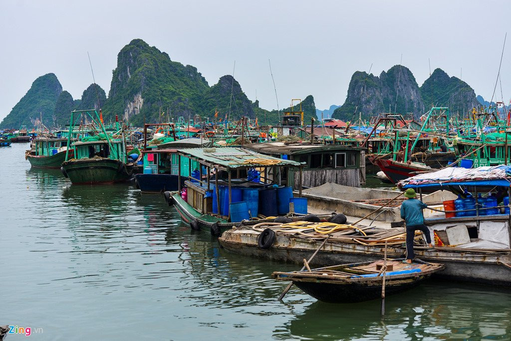 Cang Cai Rong truoc ngay Van Don thanh dac khu kinh te hinh anh 5