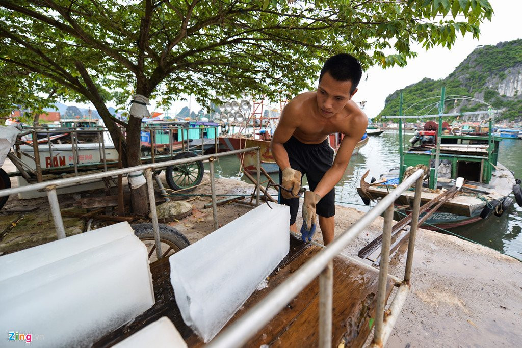 Cang Cai Rong truoc ngay Van Don thanh dac khu kinh te hinh anh 9