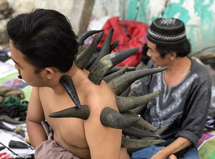 44BA909F00000578-4921142-image-a-19_1506428136805 5