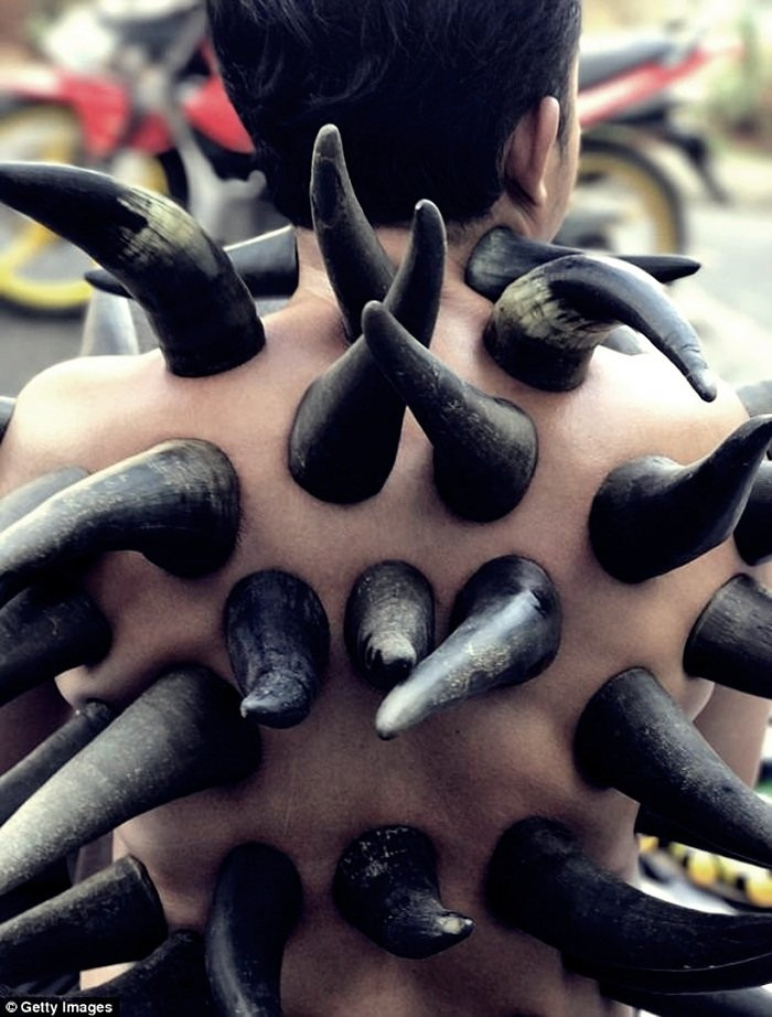 44BA924100000578-4921142-image-m-3_1506427406729