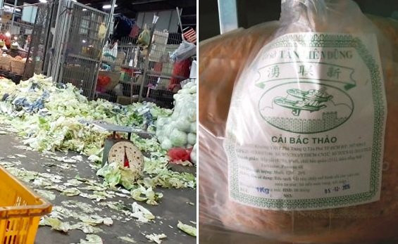 rau-qua1_qxwm_(1)_2p239i84r4ti5 4