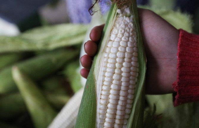 Chợ bắp lớn nhất Sài Gòn