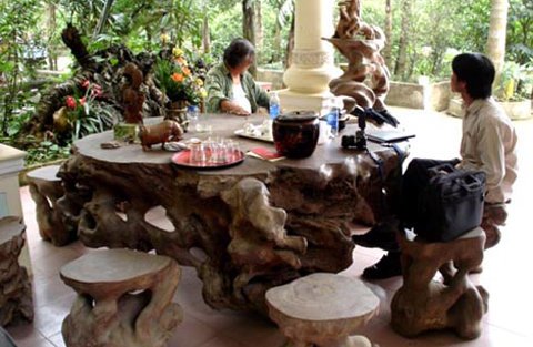gốc cây tiền tỷ, gỗ quý, gỗ trắc, gỗ lũa