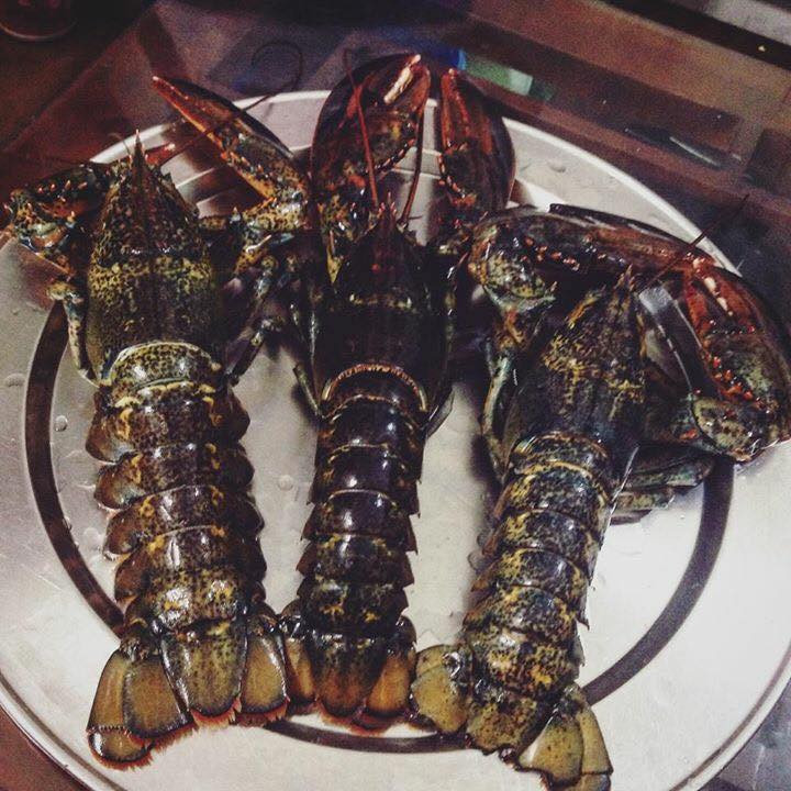 tôm hùm,tôm hùm canada,hải sản nhập khẩu,đặc sản nhà giàu