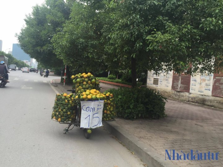 22850131_1522534724507594_1875217289_o-1506