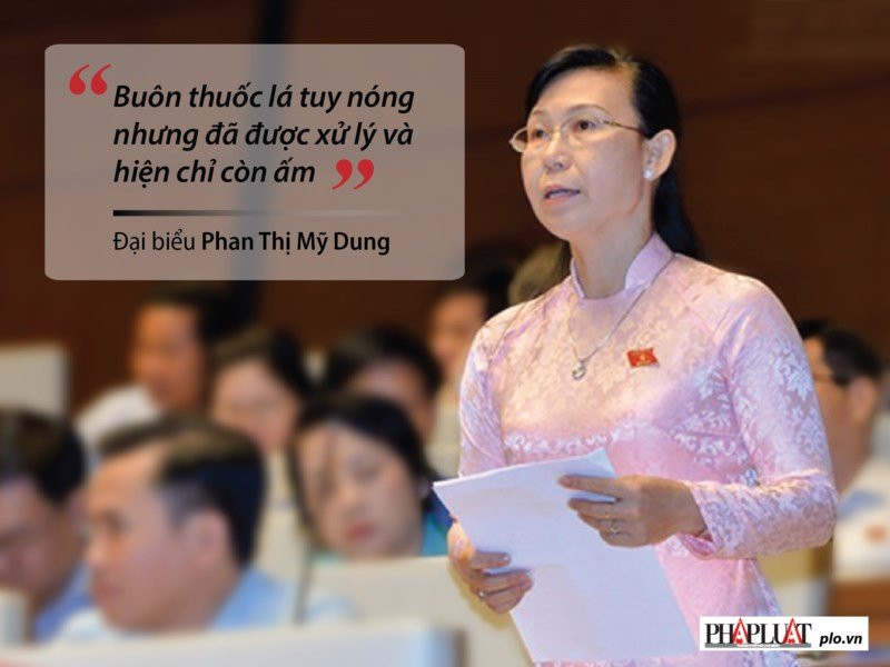 Những phát ngôn 'đốt nóng' nghị trường Quốc hội - ảnh 8