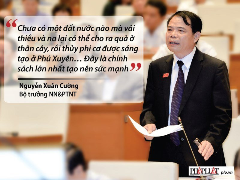 Những phát ngôn 'đốt nóng' nghị trường Quốc hội - ảnh 11