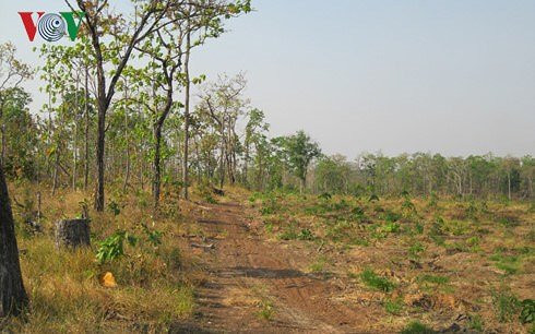 vi pham cua nguyen pho bi thu tinh uy gia lai la nghiem trong hinh 2