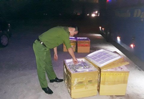 Hơn 1 tấn mèo, gà đông lạnh quá đát bị bắt giữ khi đang tuồn về Thái Bình - Ảnh 2.