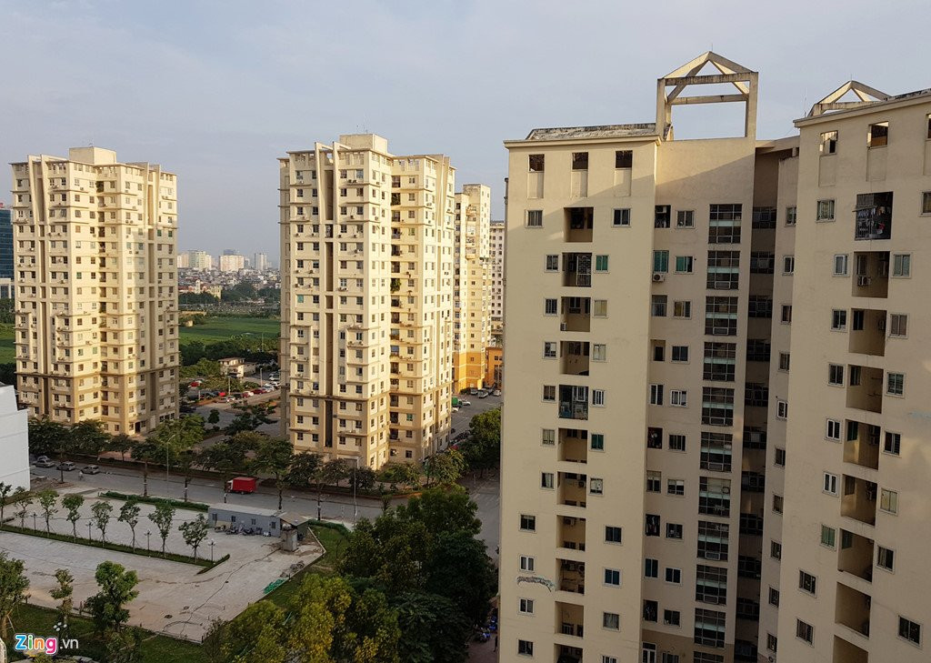 Canh nuoi ga, trong rau trong chung cu o Ha Noi hinh anh 14